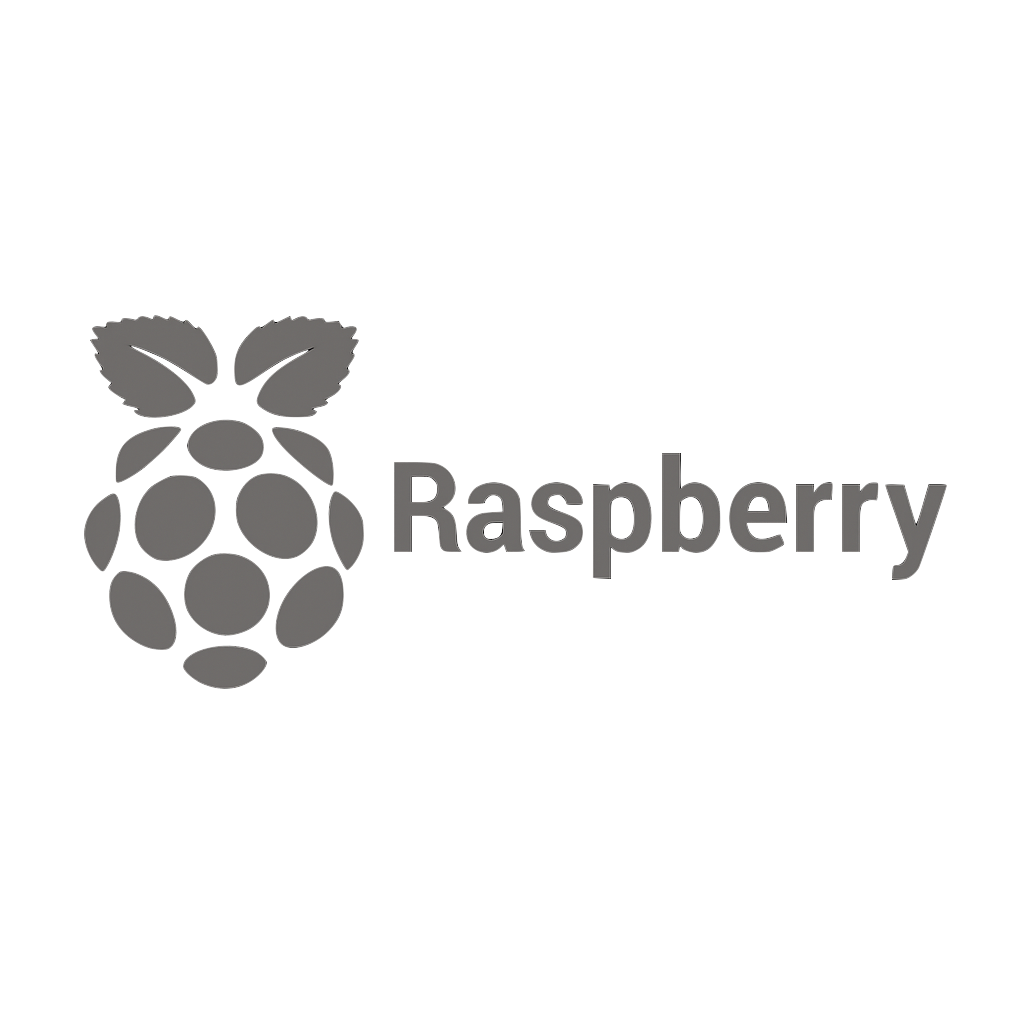 Raspberry Pi logo